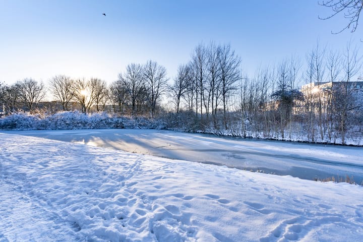 Foto 41 van Lijsterbesstraat 246