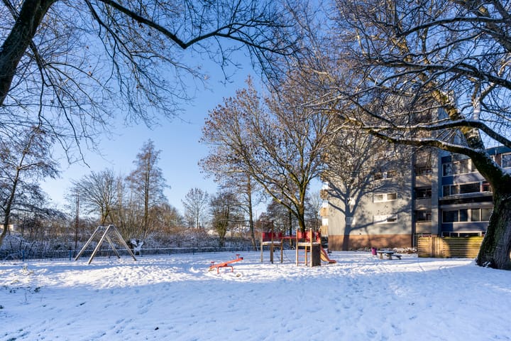 Foto 42 van Lijsterbesstraat 246