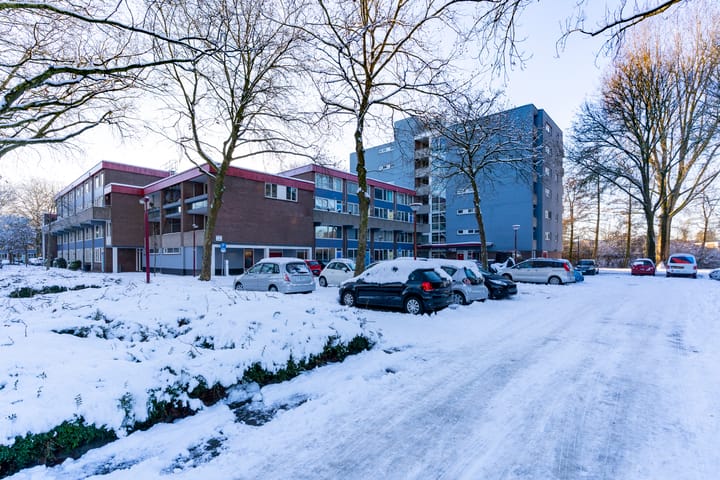 Foto 43 van Lijsterbesstraat 246