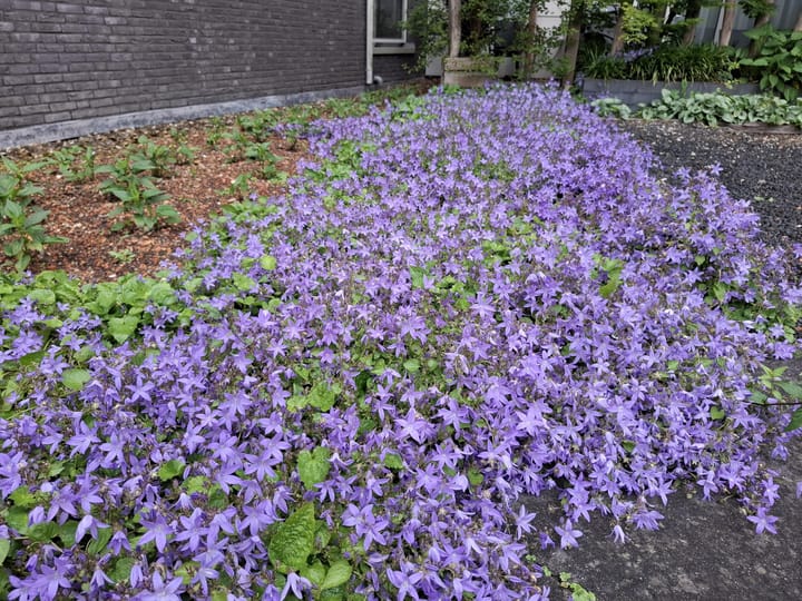 Foto 24 van Admiraalsplein 76