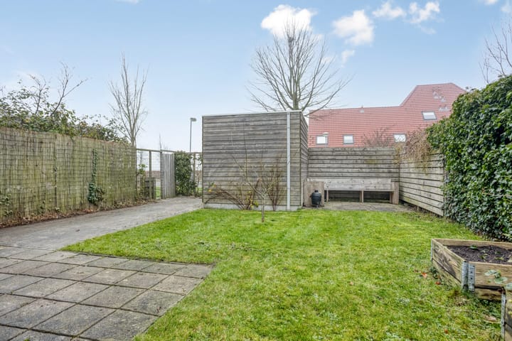 Foto 6 van Zwanebloem 1