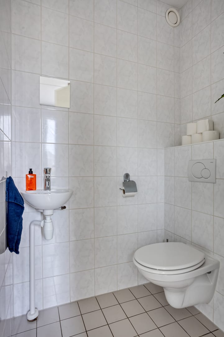 Foto 9 van Zwanebloem 1