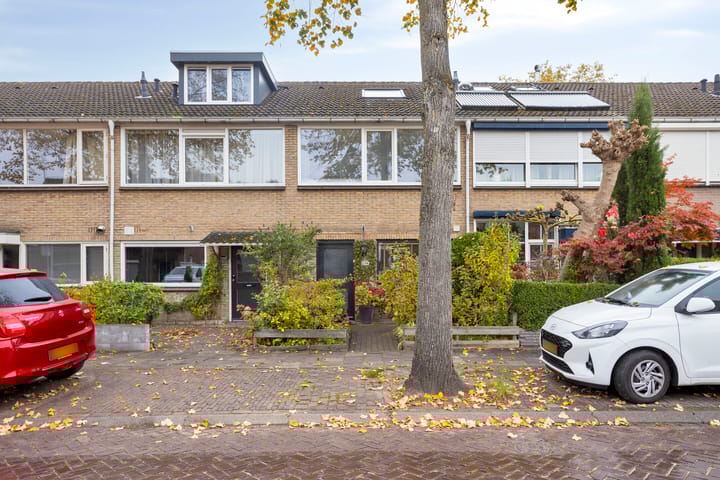 Oranjeboomstraat 236 main image