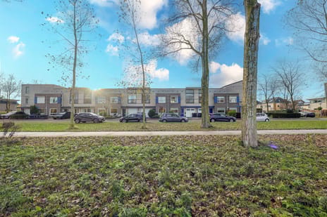 Druivenstraat thumbnail