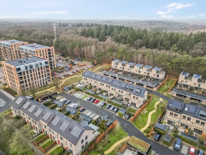 Foto 43 van Cornelis Verduijnstraat 23