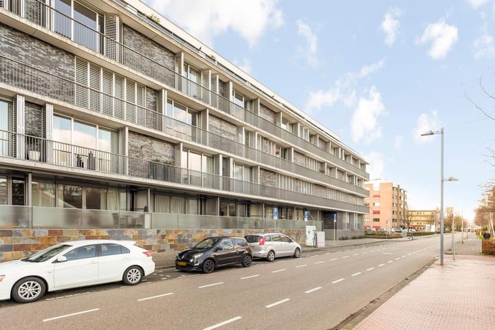 Foto 5 van Stadstuinen 101