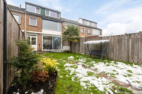 Frans Halsstraat thumbnail