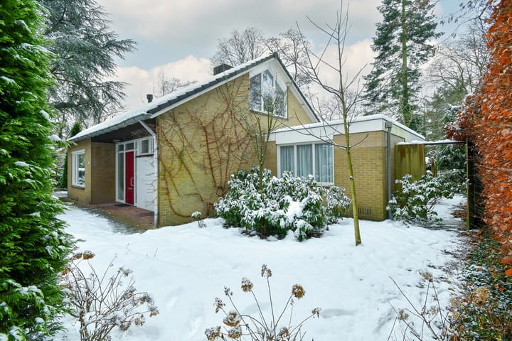 Foto 31 van Heidesteinlaan 10