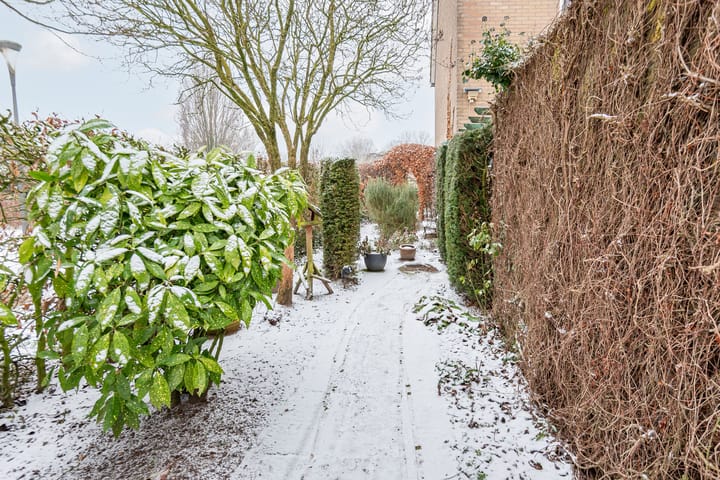 Foto 41 van Mezenpad 16