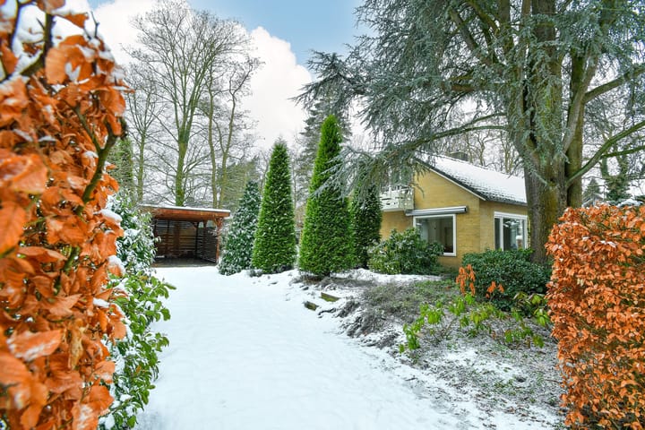 Foto 36 van Heidesteinlaan 10