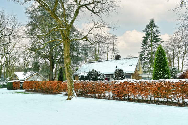 Foto 40 van Heidesteinlaan 10