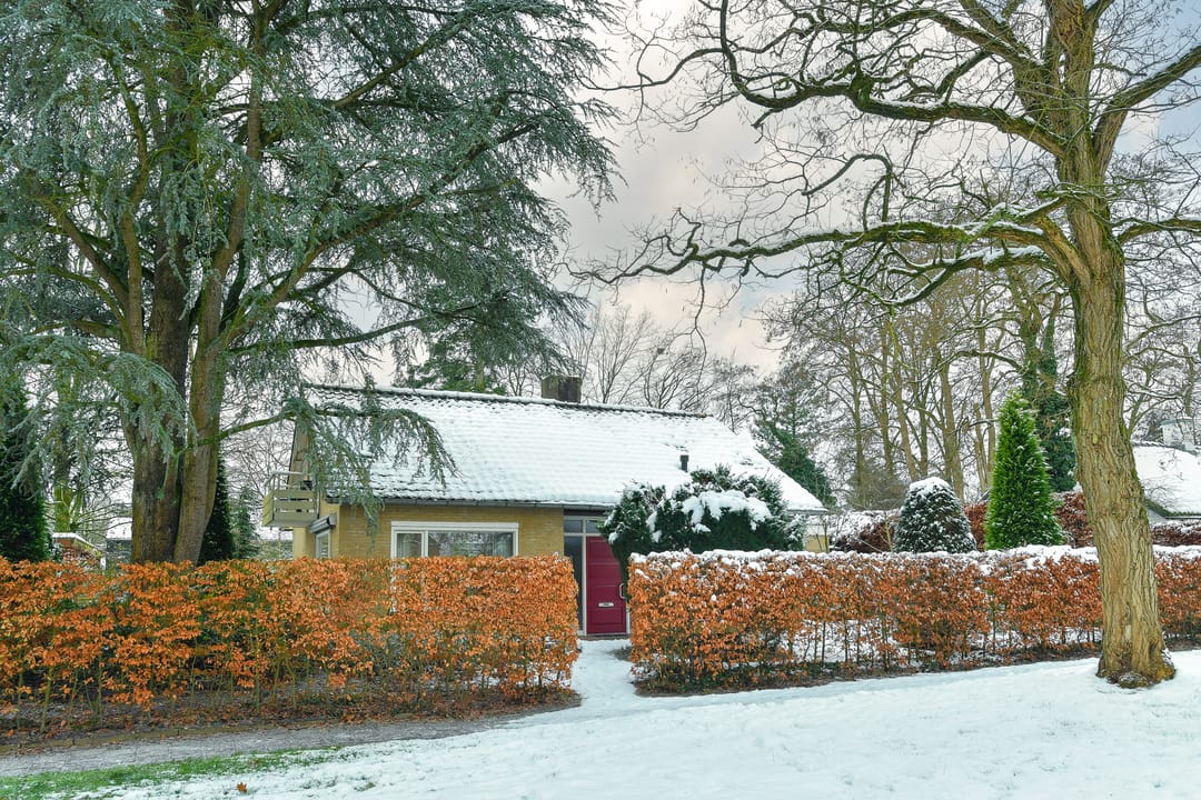 Photo 41 of Heidesteinlaan 10