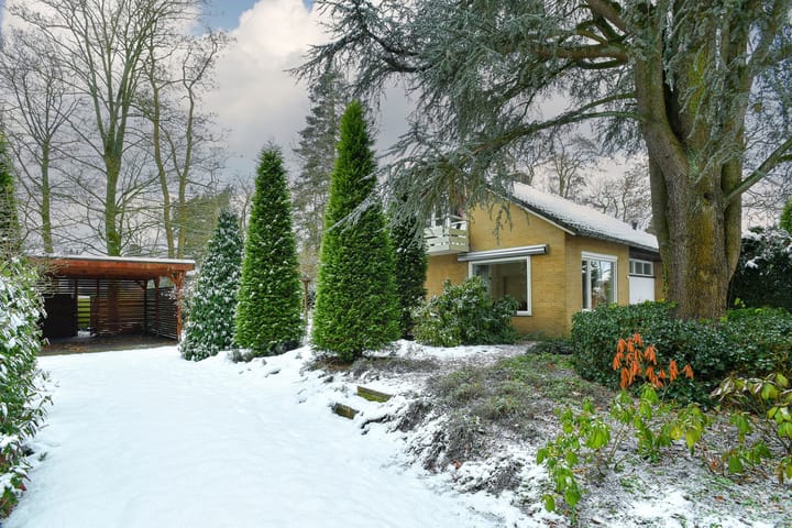 Foto 42 van Heidesteinlaan 10