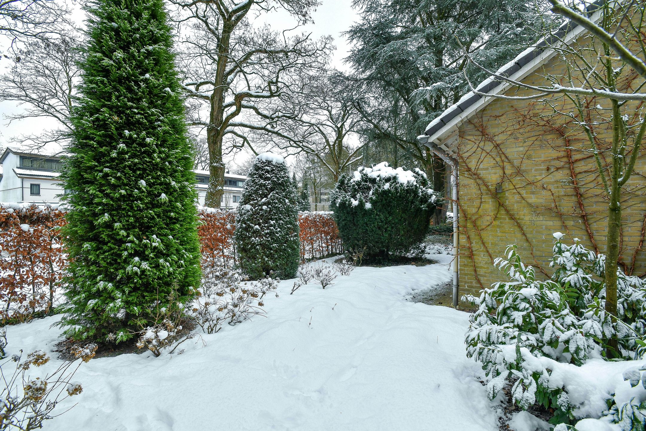 Photo 45 of Heidesteinlaan 10