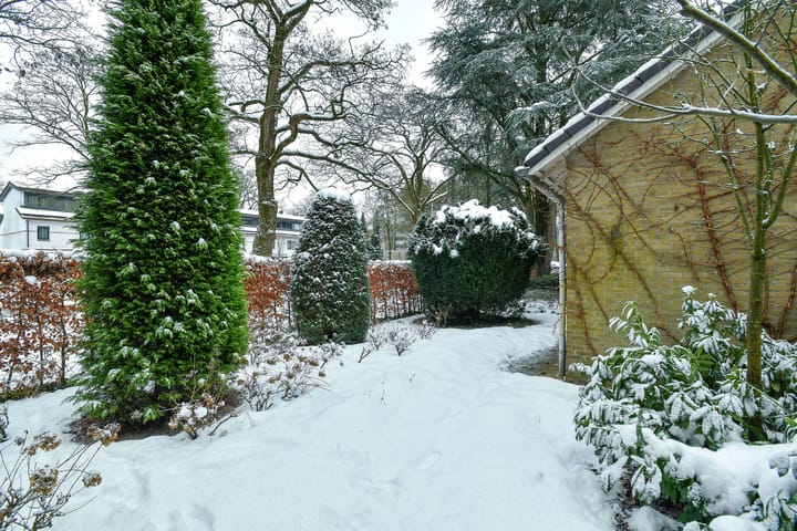 Foto 45 van Heidesteinlaan 10