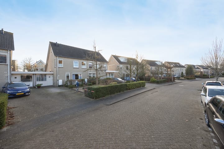 Foto 36 van Koperwiek 16