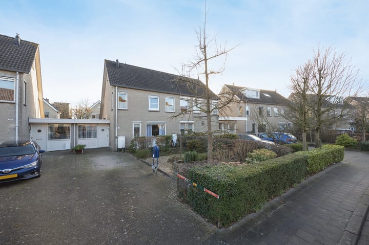 Foto 37 van Koperwiek 16