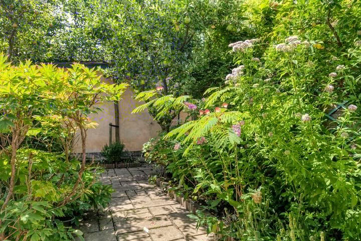 Foto 37 van Lessestraat 1