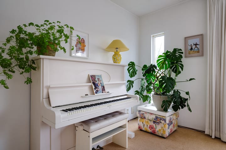 Foto 7 van Paltrokmolen 5