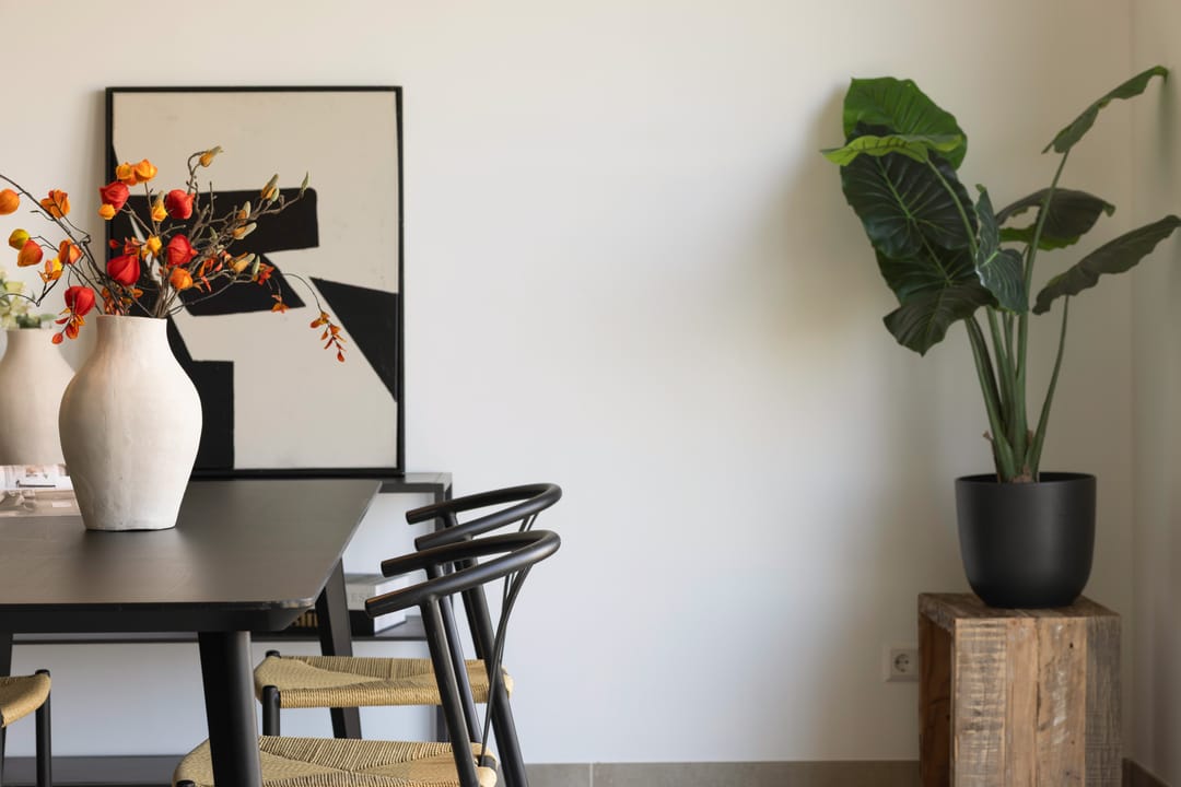 Foto 13 van Mary van der Sluisstraat 522