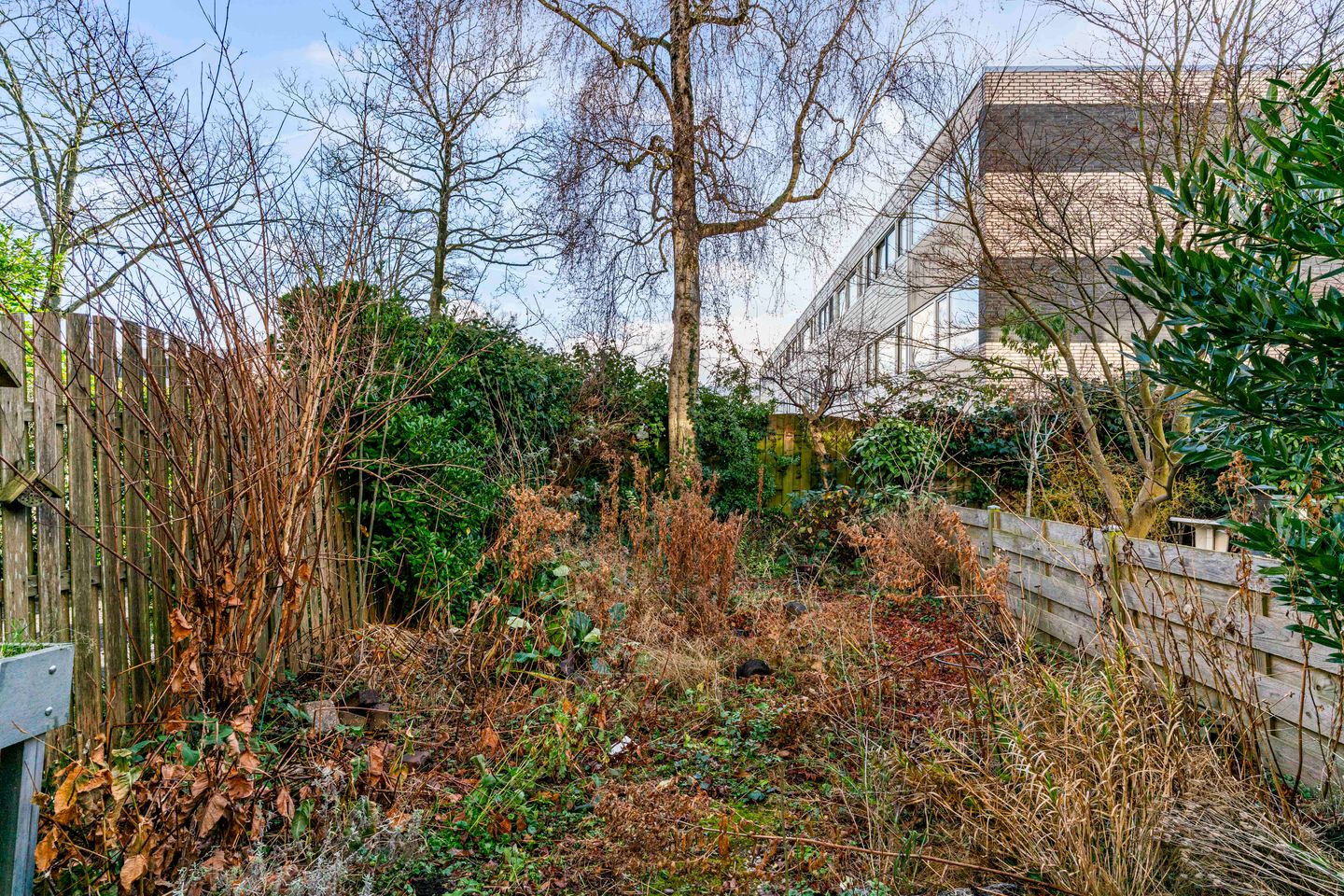 Photo 25 of Volder 58