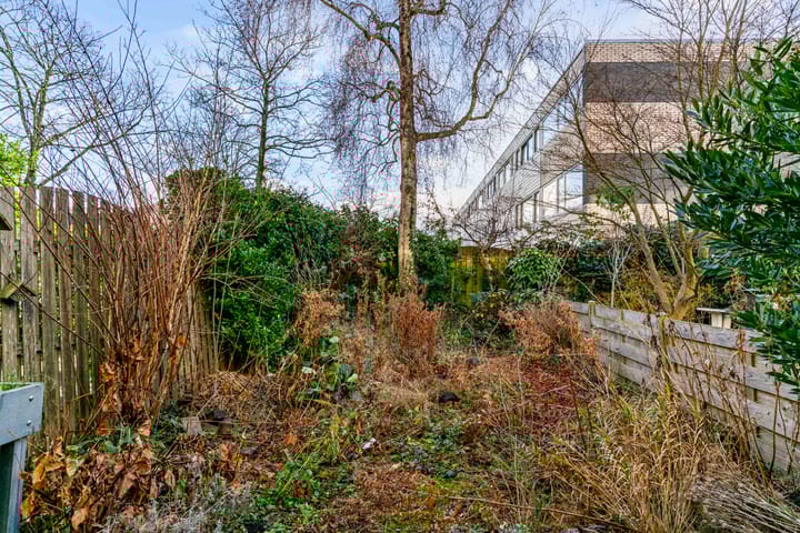 Foto 25 van Volder 58