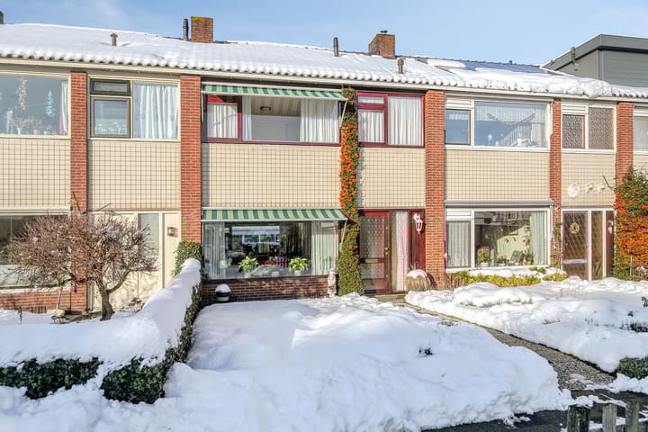 Marius Bauerstraat 20 main image