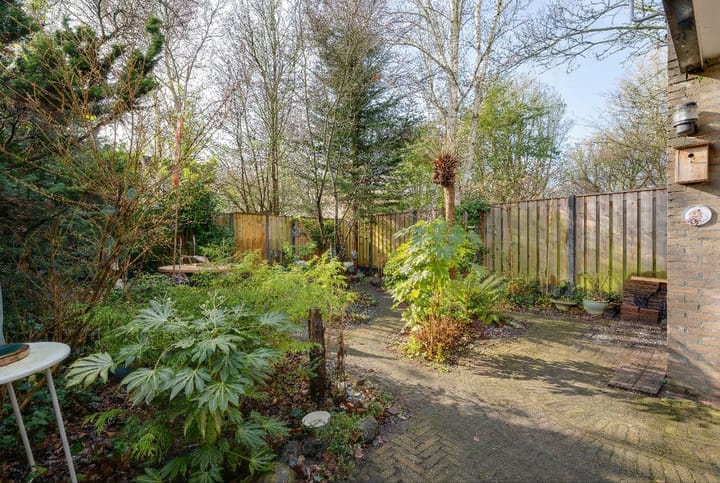 Photo 3 of Bosplaat 71