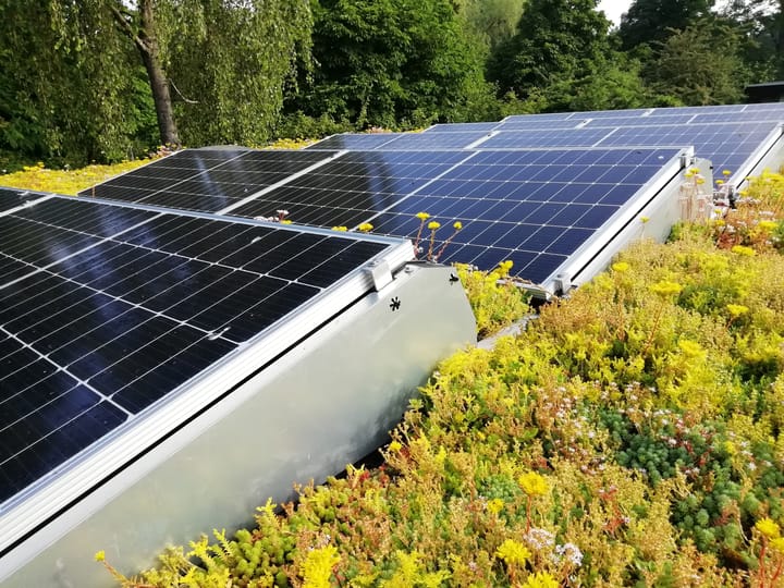 Foto 8 van Bosplaat 71