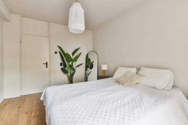 Photo 10 of Niasstraat 277