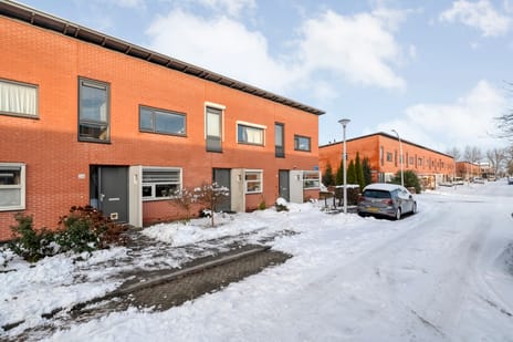 undefined main image