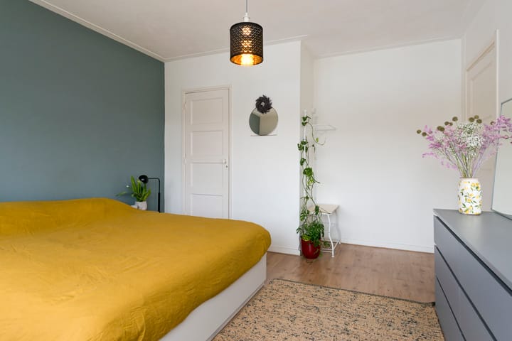 Foto 22 van Roemer Visscherstraat 36