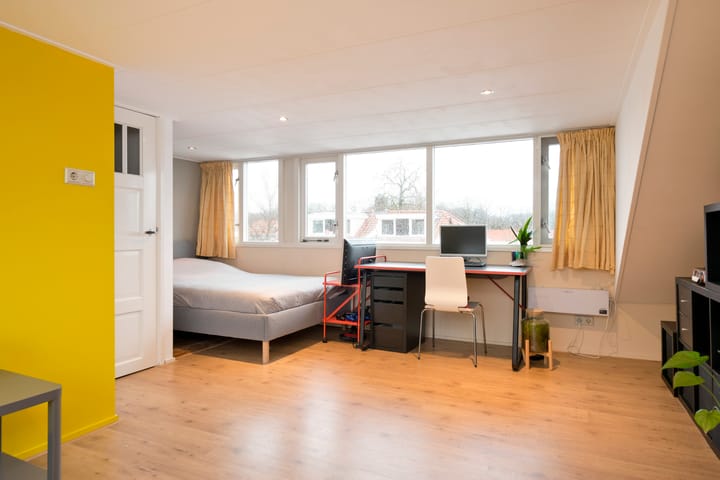 Foto 32 van Roemer Visscherstraat 36