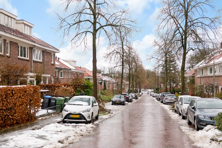 Foto 35 van Roemer Visscherstraat 36