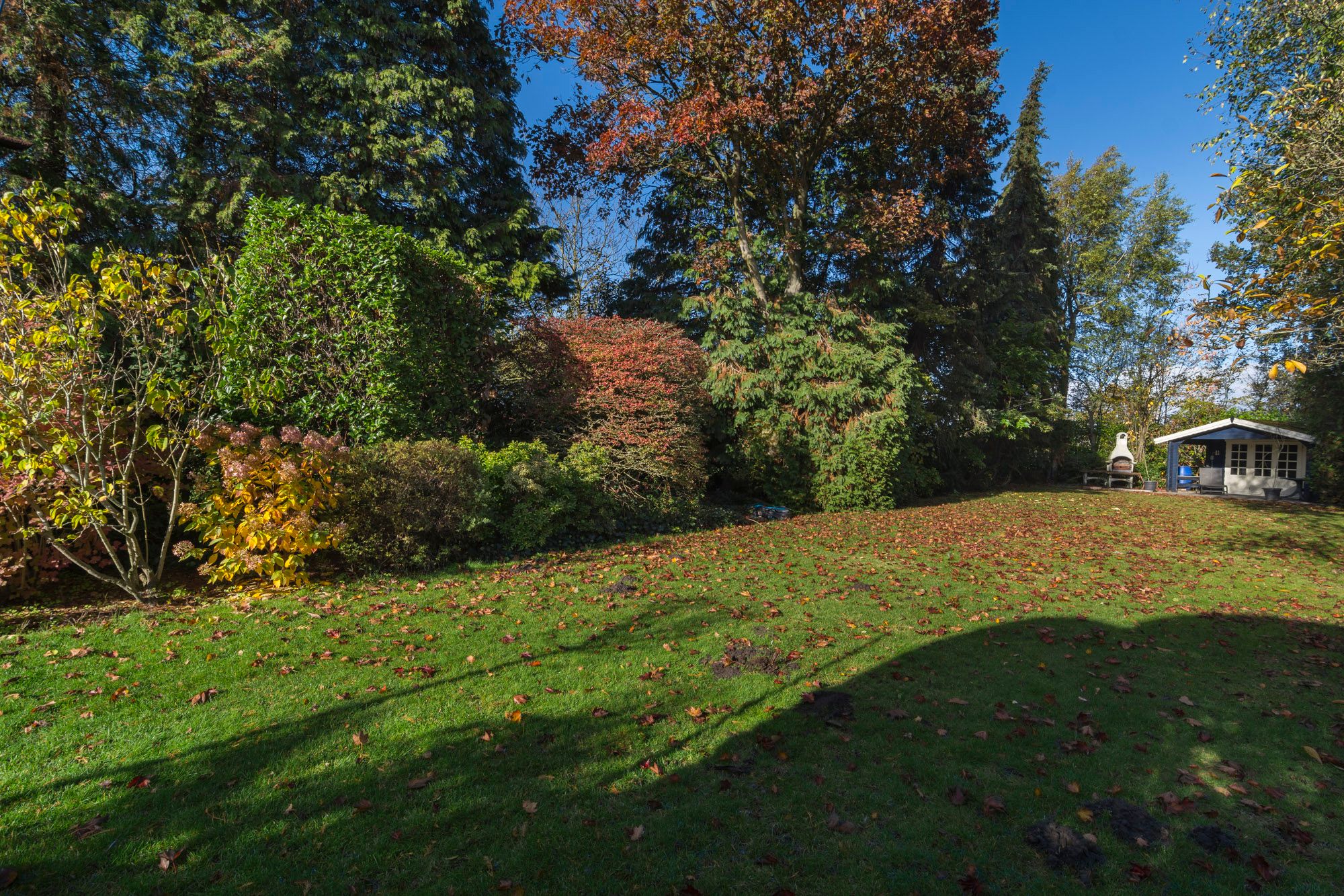 Foto 33 van Buijenstraat 19-A