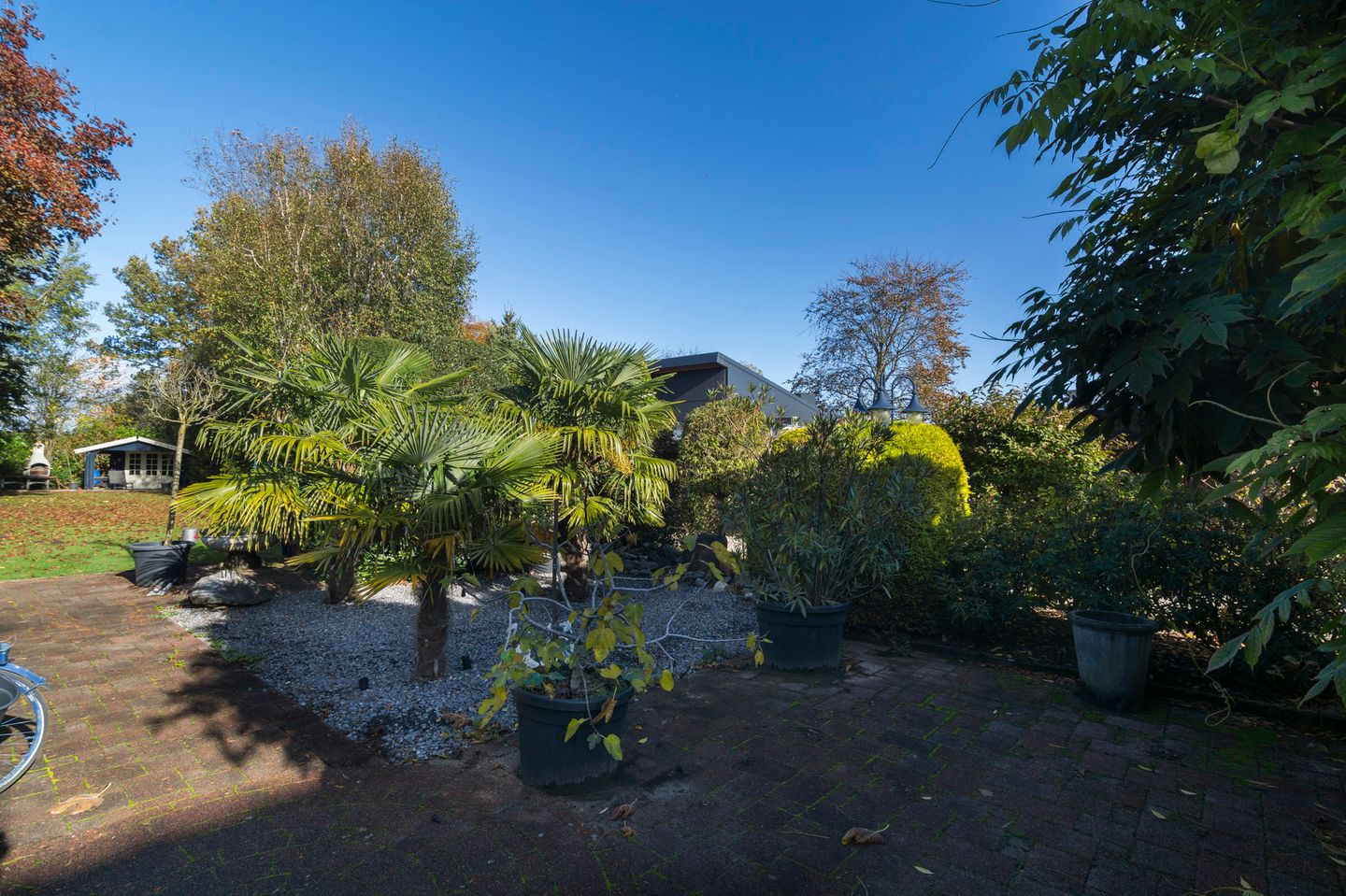 Foto 34 van Buijenstraat 19-A