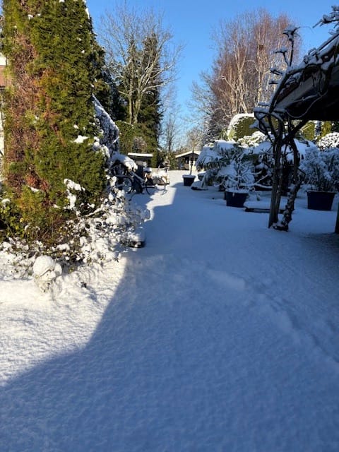 Foto 45 van Buijenstraat 19-A