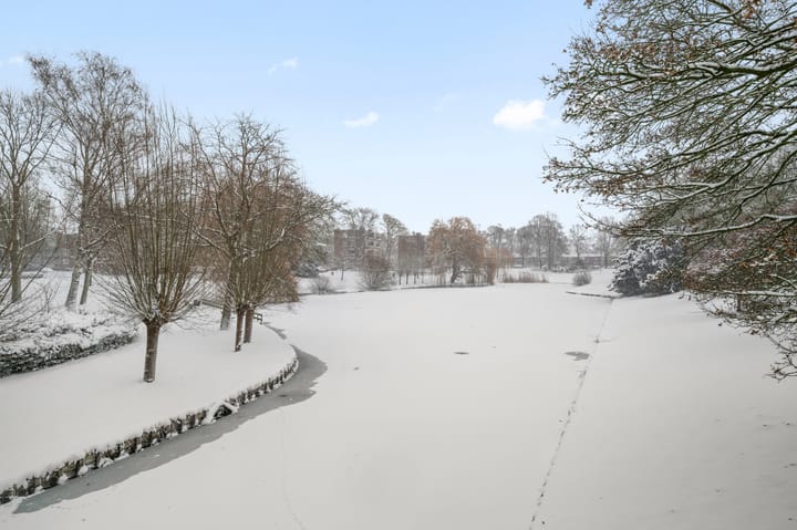 Foto 24 van Anthonie van Dyckstraat 1