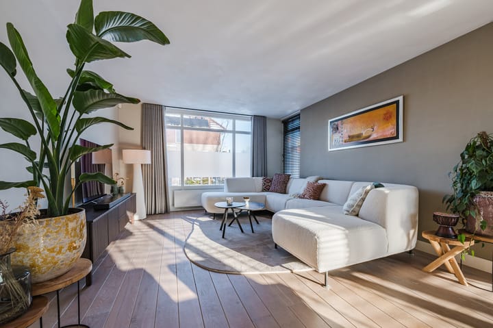 Foto 8 van Cantersakker 56