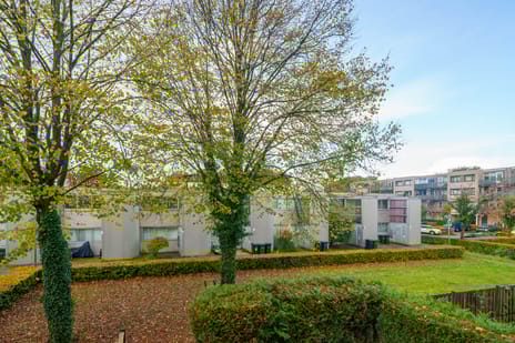 Wessel Ilckenstraat 7-A secondary image