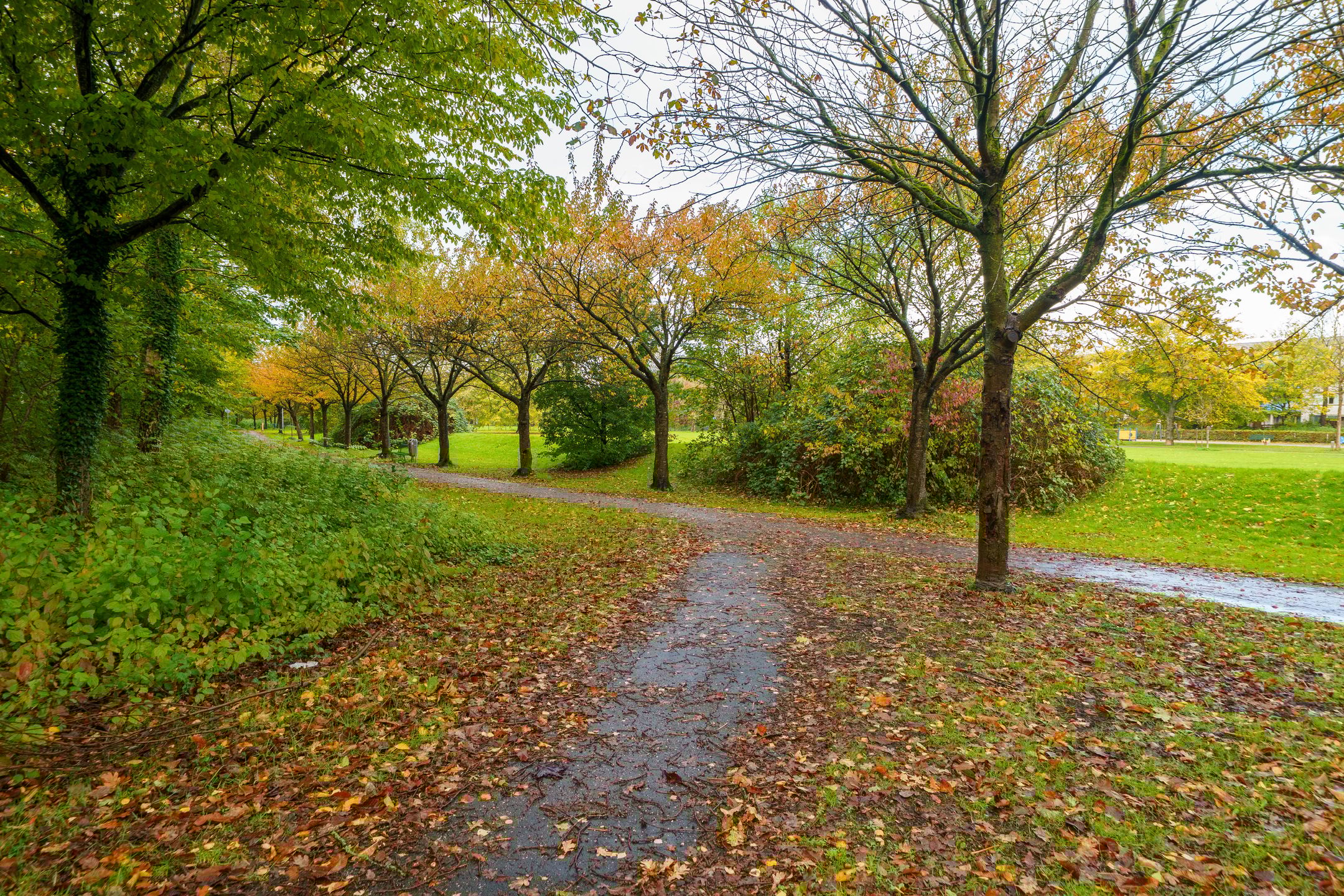 Foto 30 van Wessel Ilckenstraat 7-A