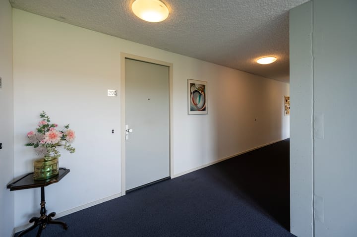 Photo 7 of Grootzeil 298