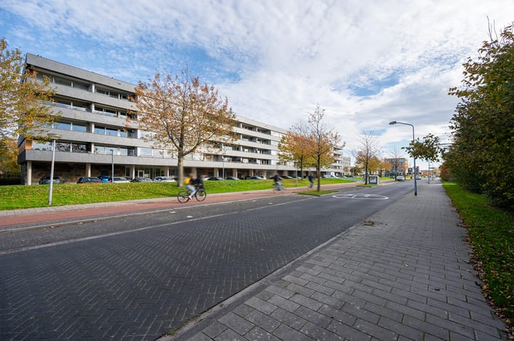 Photo 8 of Grootzeil 298