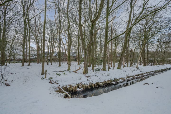 Foto 45 van Bosven 100