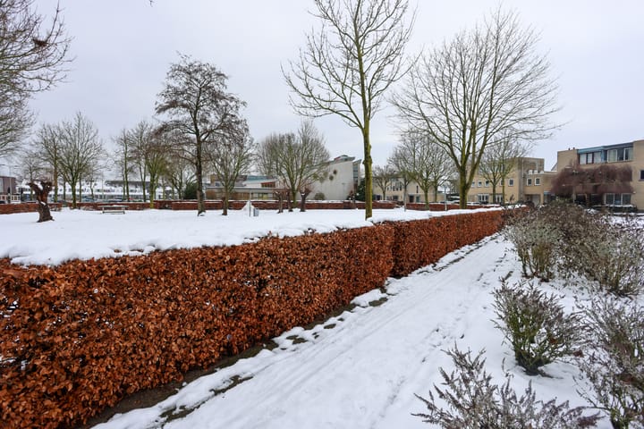 Foto 4 van Lutulistate 11