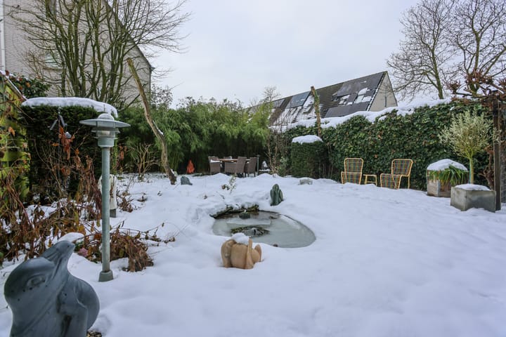 Foto 29 van Lutulistate 11