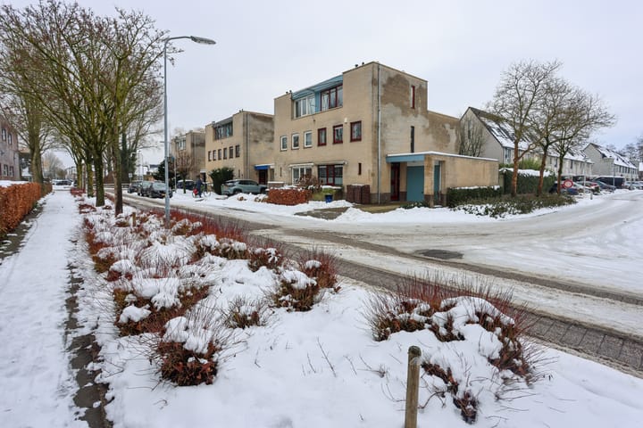 Foto 36 van Lutulistate 11