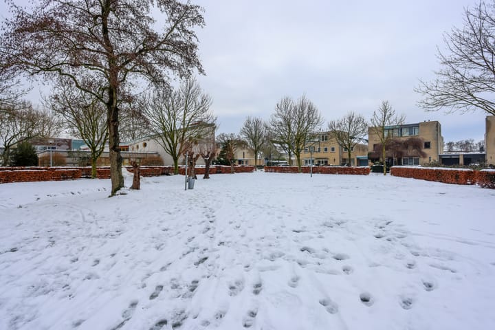 Foto 38 van Lutulistate 11