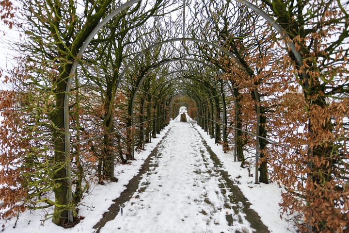 Foto 40 van Lutulistate 11