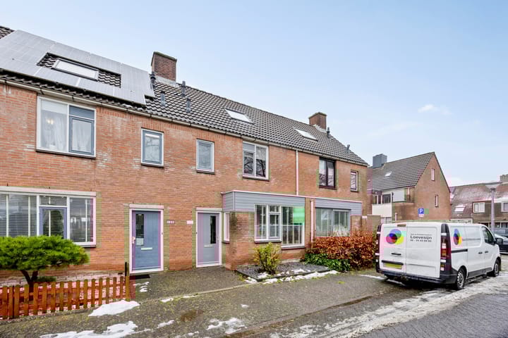 Foto 5 van Boterbloem 137